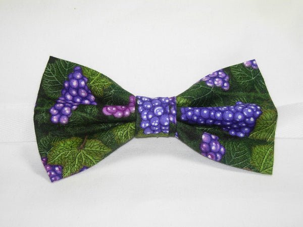 LUSCIOUS PURPLE GRAPES & LEAVES BOW TIE - Bow Tie Expressions