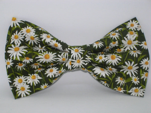 Daisy Bow tie / Spring Daisies on Dark Green / Self-tie & Pre-tied Bow tie - Bow Tie Expressions