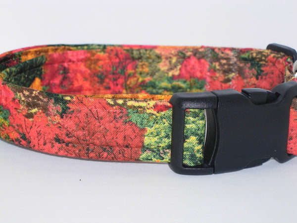 Autumn Dog Collar / Forest of Fall Foliage / Orange, Red & Green Trees / Matching Dog Bow tie