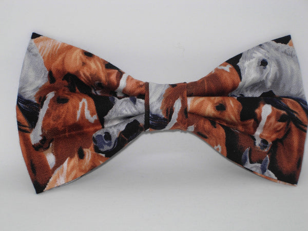 Products Horse Bow tie / Brown & White Horses / Equestrian / Wild Stallion / Pre-tied Bow tie
