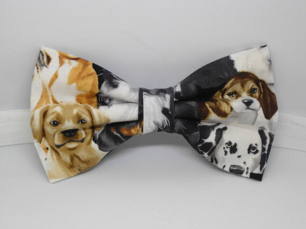 Pedigree Dogs Bow tie / Beagles, Labs, Terriers & More / Self-tie & Pre-tied Bow tie
