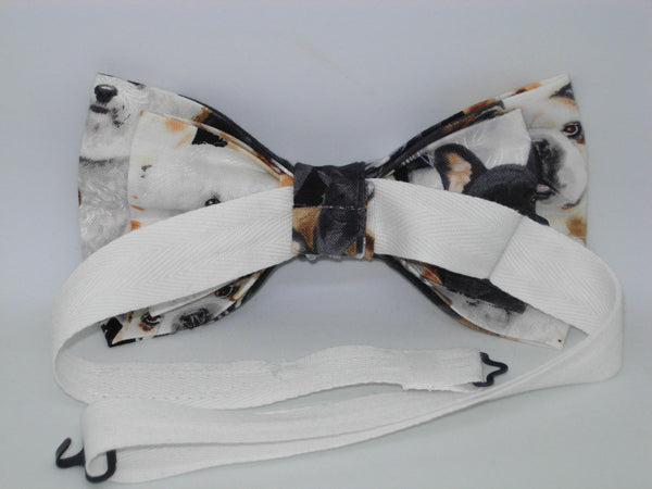 Pedigree Dogs Bow tie / Beagles, Labs, Terriers & More / Pre-tied Bow tie