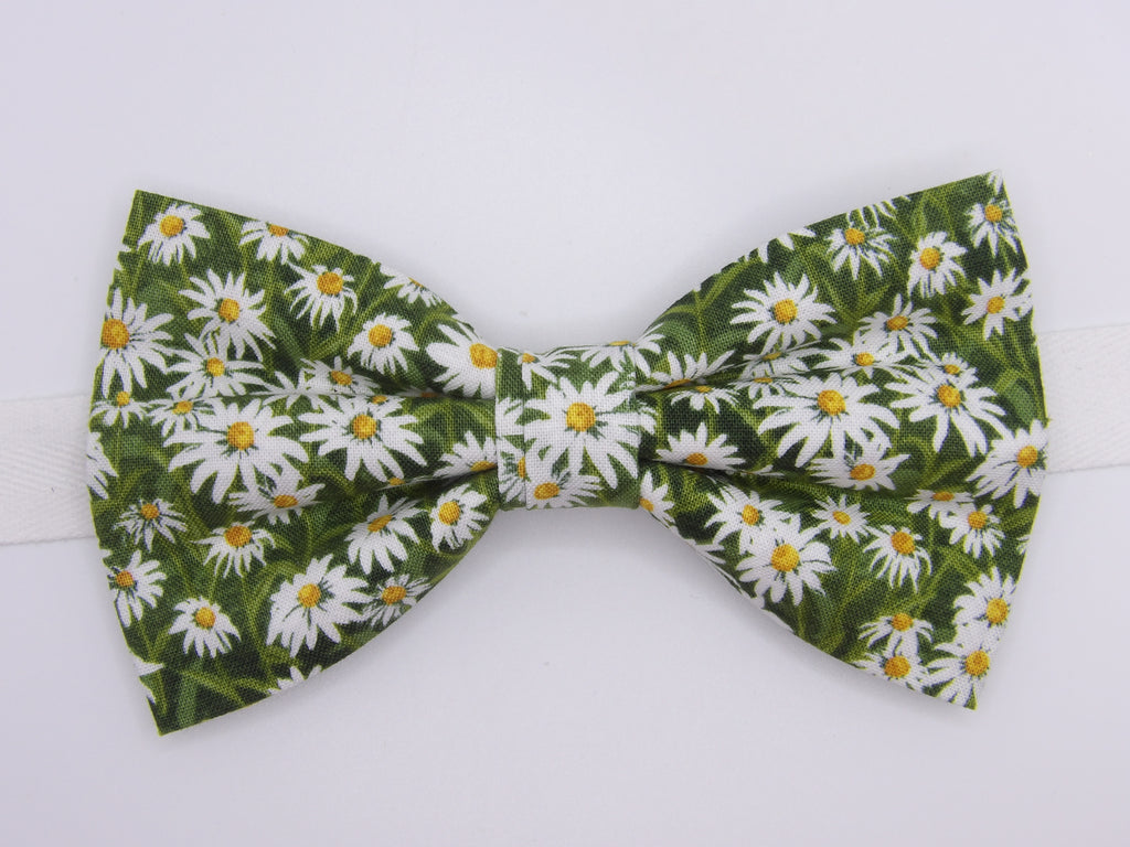 Daisy Bow tie / Spring Daisies on Light Green / Pre-tied Bow tie