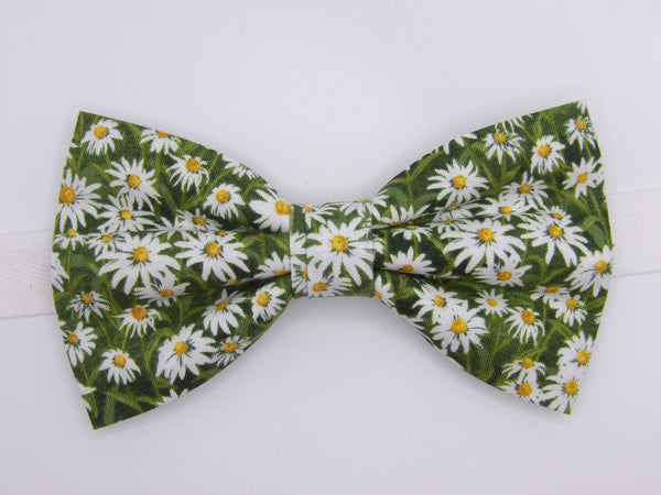 Daisy Bow tie / Spring Daisies on Light Green / Pre-tied Bow tie