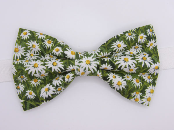 Daisy Bow tie / Spring Daisies on Light Green / Self-tie & Pre-tied Bow tie
