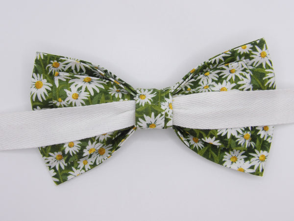 Daisy Bow tie / Spring Daisies on Light Green / Self-tie & Pre-tied Bow tie
