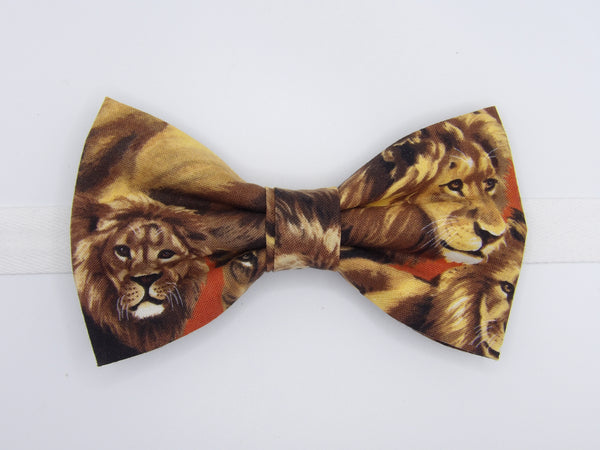 Aftrican Lions Bow tie / King of the Jungle on Burnt Orange / Pre-tied Bow tie