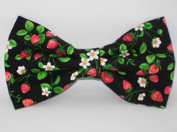 Strawberry Dog Collar / Mini Red Strawberries on Black / Festival Dog Collar / Matching Dog Bow tie