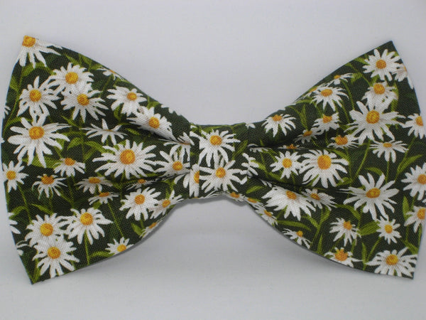 Daisy Dog Collar / White Daisies on Dark Green / Matching Dog Bow tie